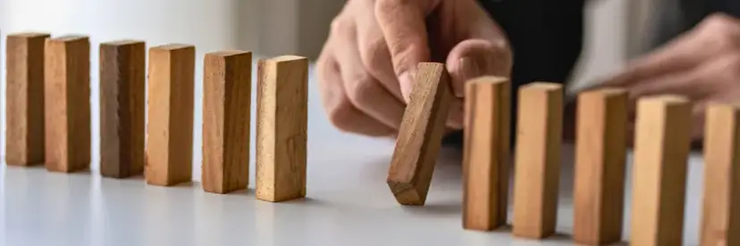 Zarządzanie na maturze: Jakie przedmioty wybrać? Kluczowy poradnik