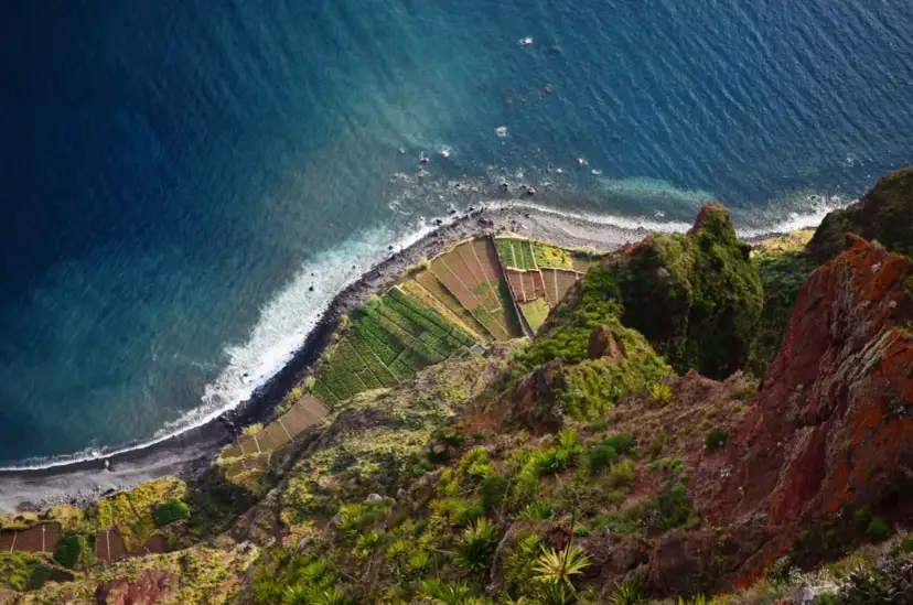 Tarasy uprawne na stromym zboczu, z widokiem na ocean. Wczesna wiosna na Maderze, zieleń budzi się do życia.