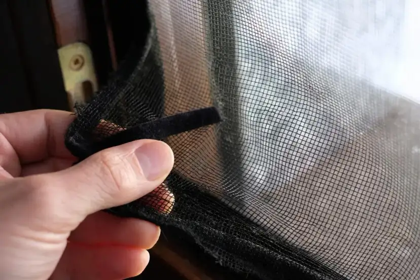 Jak zabezpieczyć okno dla kanarka? Sprawdzone metody i DIY