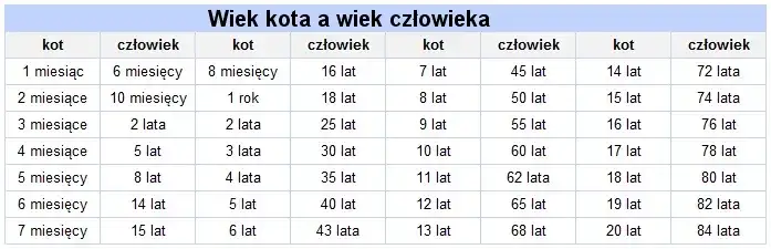 Jak liczyć wiek dziecka w hotelu, aby uniknąć nieprzyjemnych niespodzianek