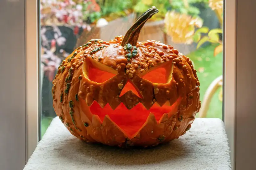 Jak rzeźbić dynię? Poradnik DIY: wzory, narzędzia, trwałość