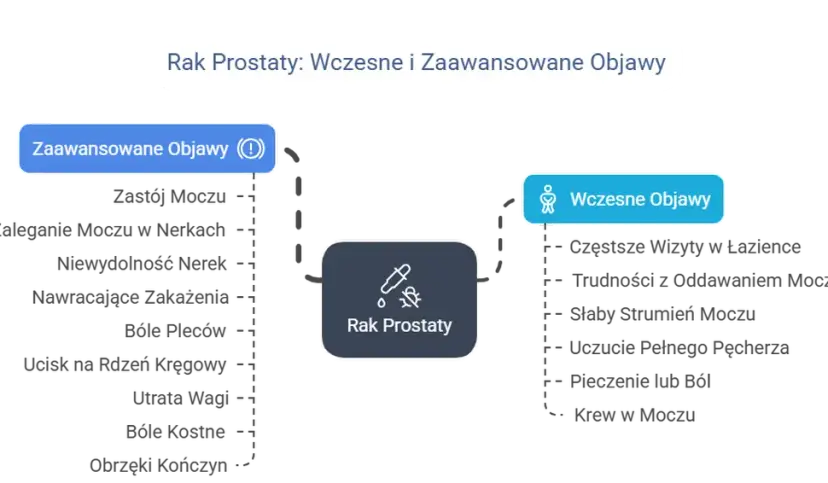 Rak prostaty: objawy, czynniki ryzyka i diagnostyka. Jak rozpoznać?