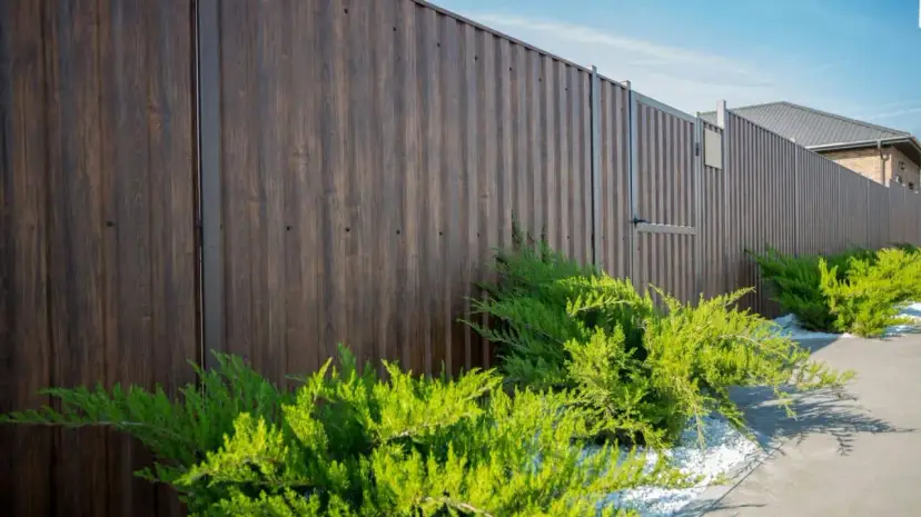Skuteczne sposoby na zasłonięcie ogrodzenia panelowego dla lepszej prywatności