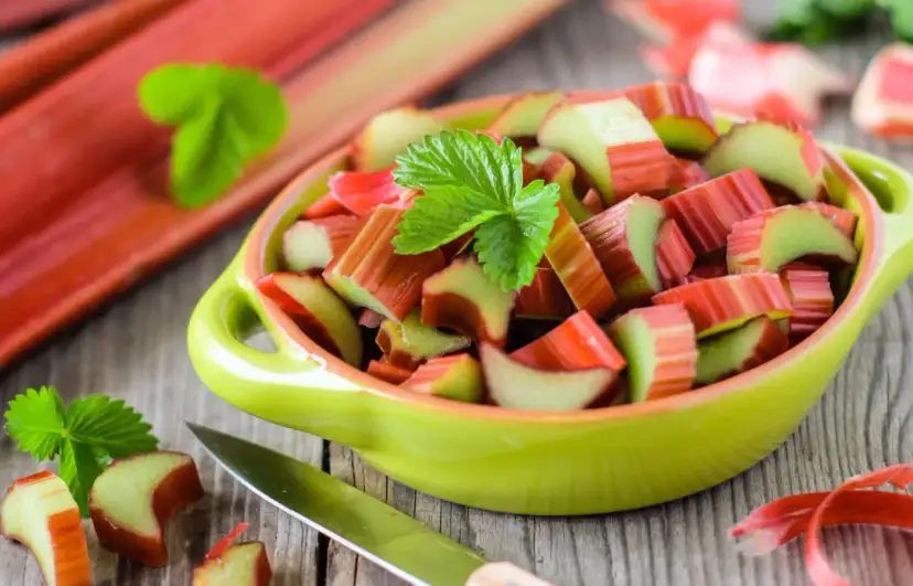 Kiedy jest sezon na rabarbar? Najlepszy czas na zbiór i smak