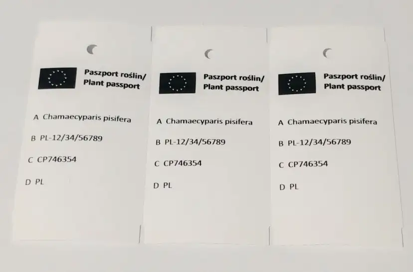 Ile kosztuje paszport roślin? Zaskakujące opłaty i wyjątki