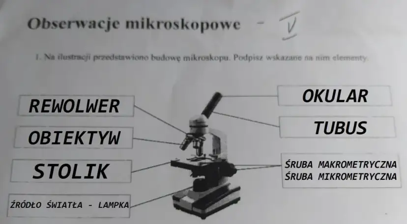 Obiektyw mikroskopu: kluczowe funkcje i zastosowania w mikroskopii