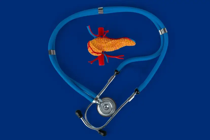 Życie bez trzustki: Czy to możliwe? Jak funkcjonować?