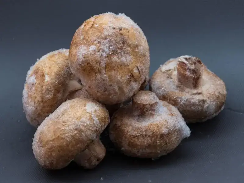 Mrożenie pieczarek bez błędów: Smak i tekstura na dłużej!