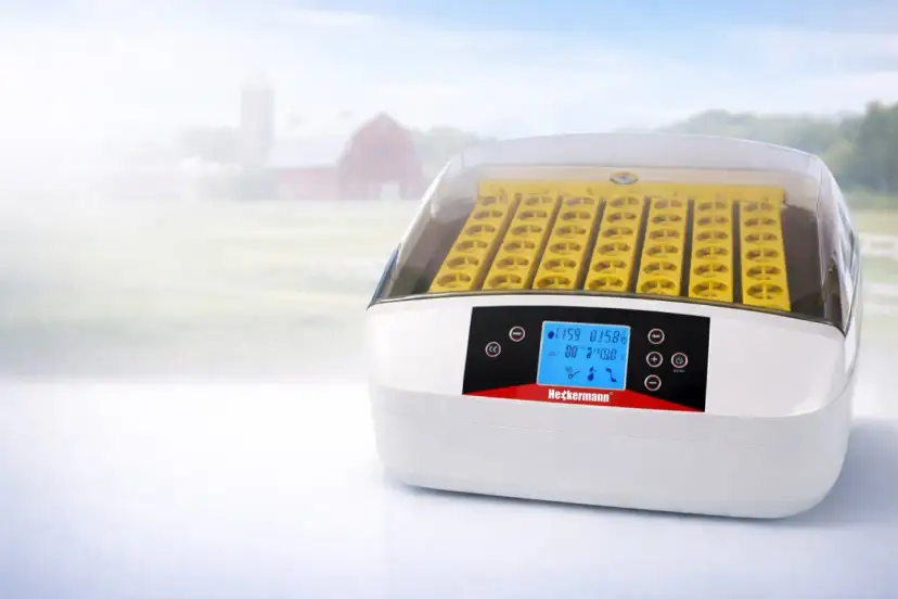 Nowoczesny inkubator z żółtymi przegródkami na jaja. Cyfrowy wyświetlacz pokazuje temperaturę i wilgotność, kluczowe przy pytaniu jak zmniejszyć wilgotność w inkubatorze.