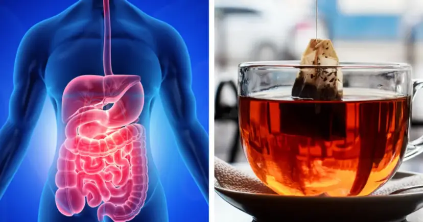 Jaka herbata na gazy? Poznaj zioła, które naprawdę działają!