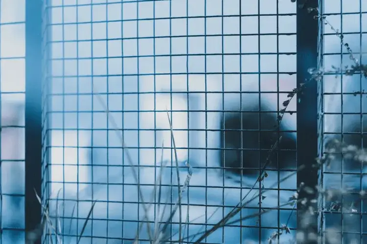 Skuteczne sposoby na to, czym wyczyścić metalowe ogrodzenie