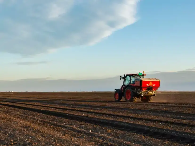 Dlaczego wapnowanie gleby decyduje o plonach, a nie tylko o pH?