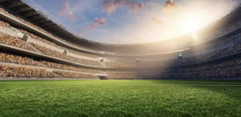 Duży sport jako lustro zachowań graczy