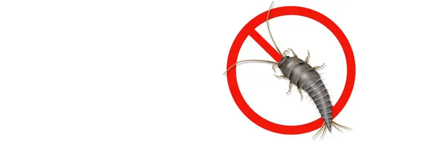 Skuteczne sposoby na wytępienie rybików z łazienki, które działają