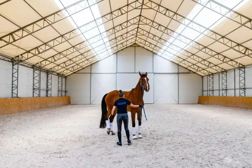 Hala jeździecka: Dlaczego warto wybrać ją na jazdę konną?