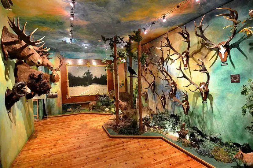 Praca w Muzeum Łowiectwa i Jeździectwa – oferty i wymagania zatrudnienia