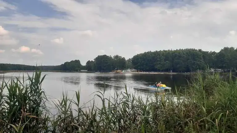 Najlepsze atrakcje w Żorach, które musisz odwiedzić i przeżyć