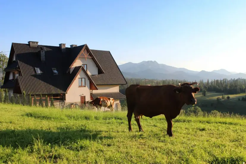 Gościna na wierchu: Odkryj góralską biesiadę z widokiem na Tatry