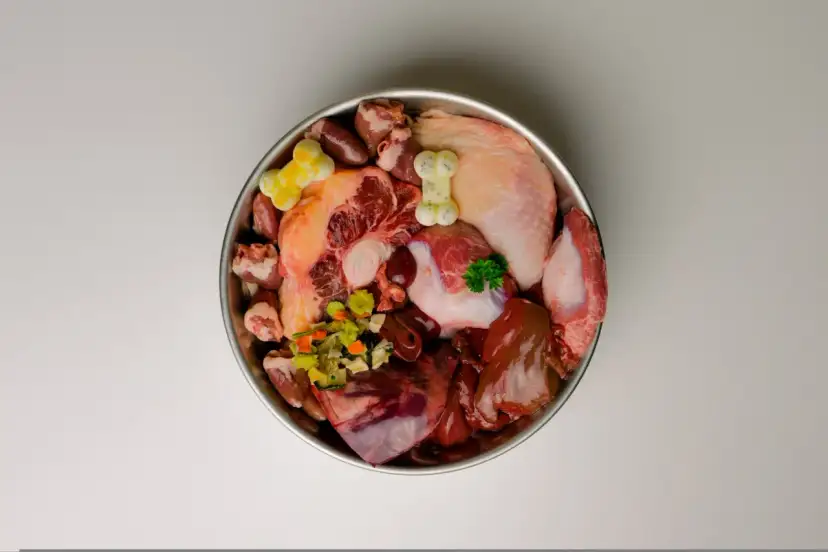 Surowe czy gotowane mięso dla szczeniaka? Jak podjąć najlepszą decyzję?