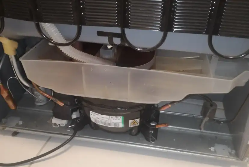 Widok wnętrza lodówki Whirlpool z widocznym kompresorem i tacą skraplacza.