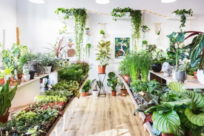 Jak wyeksponować kwiaty w domu? Inspiracje i praktyczne porady