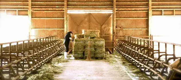 Czy rolnik płaci podatek od nieruchomości za budynek mieszkalny? Sprawdź warunki zwolnienia