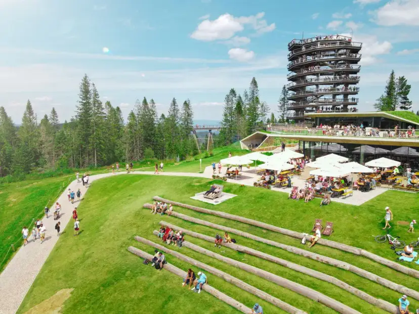 Ścieżka w koronach drzew i wieża widokowa to atrakcje, które warto zobaczyć w Zakopanem. Ludzie spacerują i odpoczywają na zielonej trawie.