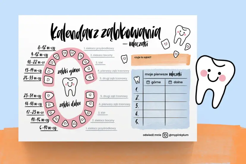 Uroczy kalendarz ząbkowania mleczaków z uśmiechniętymi ząbkami i tabelką do uzupełniania.