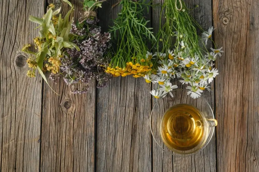 Jaki lek na uspokojenie nerwów? Zioła, recepty, psychoterapia