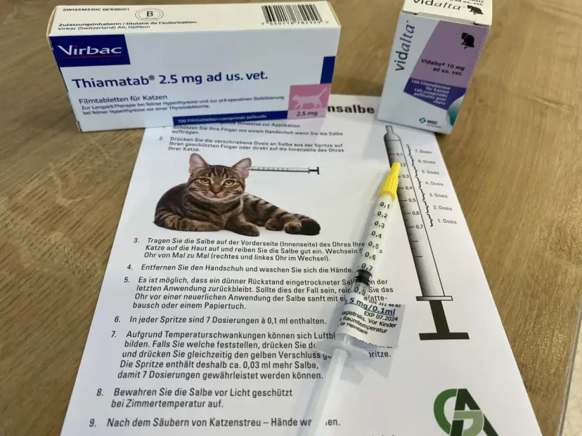 Wichtige Medikamente bei Schilddrüsenüberfunktion bei Katzen und ihre Wirkung
