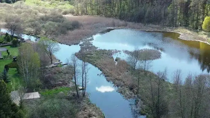 Jezioro Foluskie: piękno natury, które musisz zobaczyć w Polsce