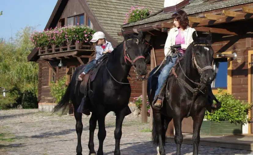 Jeździectwo western: odkryj tajniki i techniki jazdy konnej w Polsce