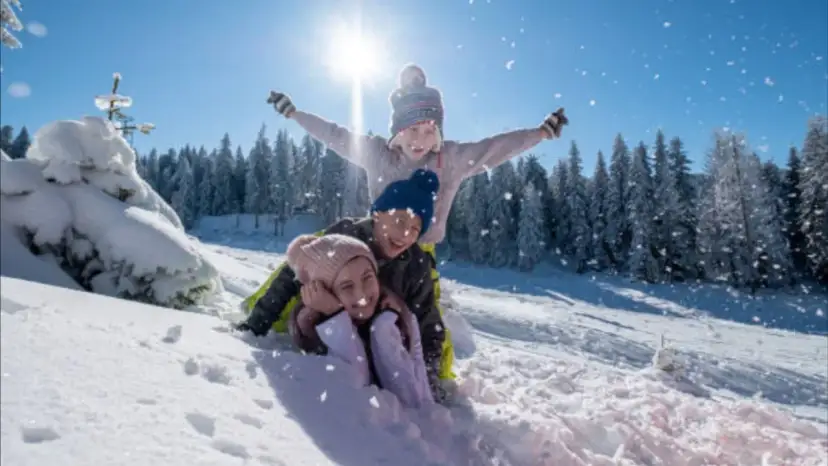 Niños felices en trineo, disfrutando de las vacaciones de invierno cuando empiezan. Nieve cayendo, sol brillante y árboles nevados.