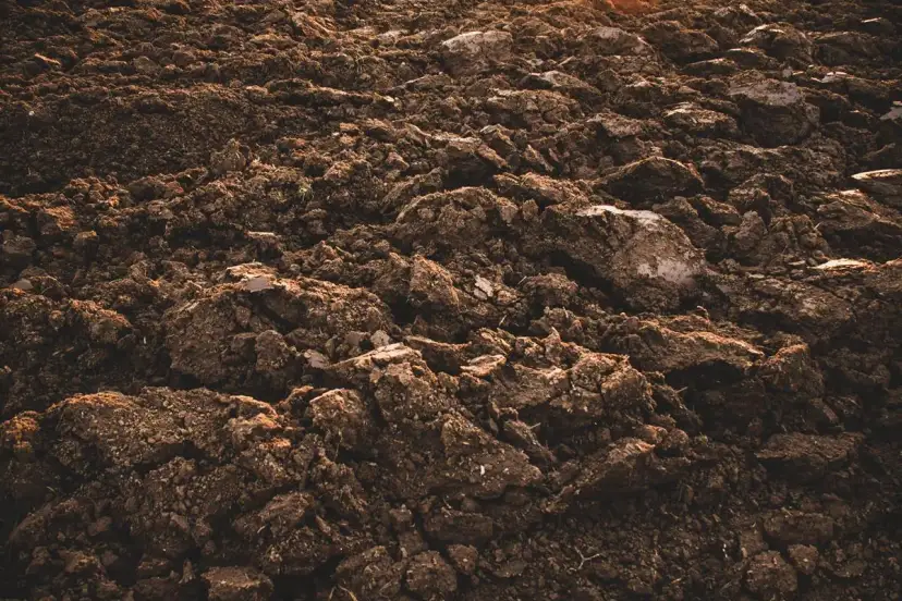 Gdzie sprawdzić klasę ziemi? Ziemia po orce, pełna grud i kamieni, czeka na analizę.