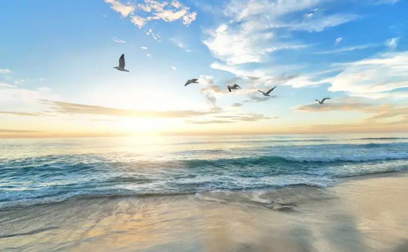 Zachód słońca nad oceanem, gdzie fale delikatnie rozbijają się o brzeg. Ptaki szybują na niebie, jakby szukały odpowiedzi na pytanie, jakie jest największe morze na świecie.