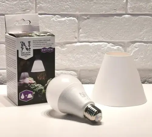 Najlepsze żarówki do roślin w Leroy Merlin – wybierz idealne oświetlenie