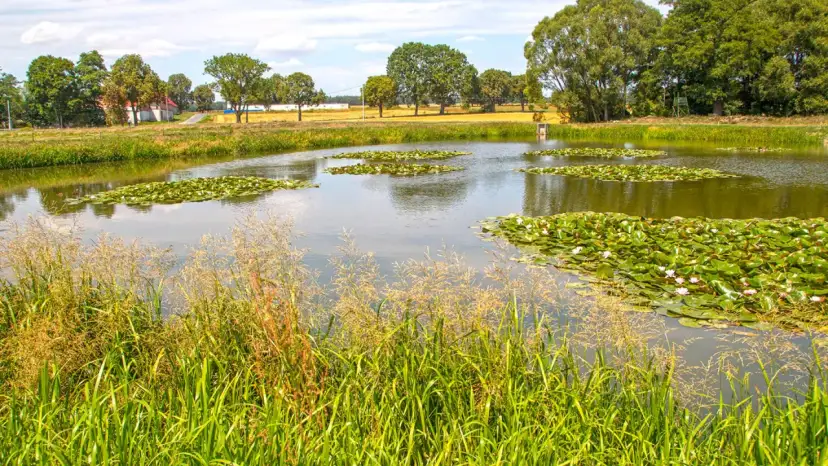 Najlepsze atrakcje w Sierakowicach, które musisz zobaczyć na weekend