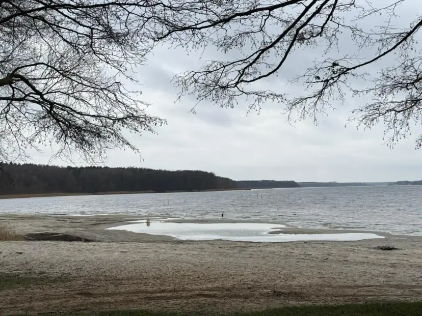 Plaża nad jeziorem, z widokiem na las. W oddali widać słupy, być może pozostałości po dawnej infrastrukturze pola namiotowego Anastazewo.