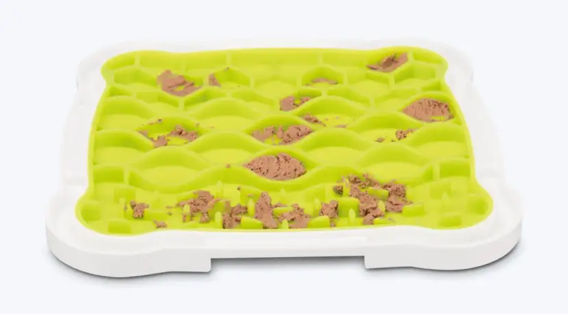 Mata do lizania dla psa: Czym smarować? Bezpieczne i zdrowe pomysły