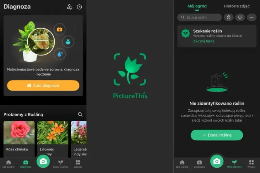 Co to za roślina? TOP aplikacje do rozpoznawania (darmowe i płatne)