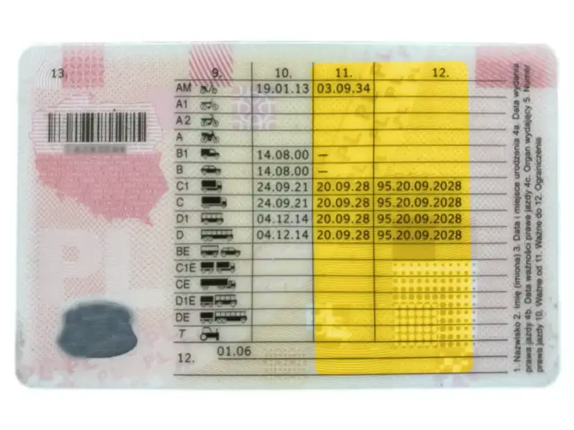 Badania na C+E: Koszty, terminy, przygotowanie. Wszystko, co musisz wiedzieć