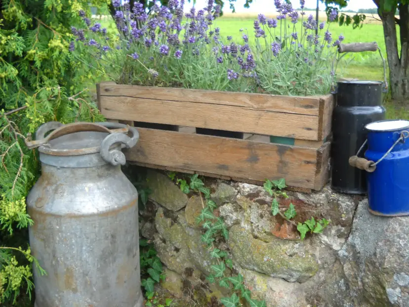 Jak zrobić kwietnik ze skrzynki po jabłkach - prosty sposób na piękno w ogrodzie