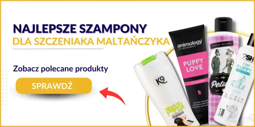 Szampon dla szczeniaka: Sekrety bezpiecznej pielęgnacji malucha