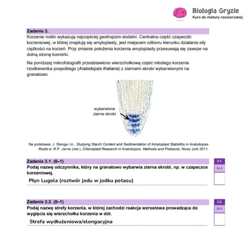 Ile punktów na maturze z biologii? Odkryj, jak je zdobyć!