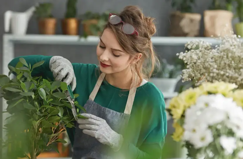 Młoda florystka w fartuchu przycina rośliny. Zastanawiasz się, ile zarabia florysta?