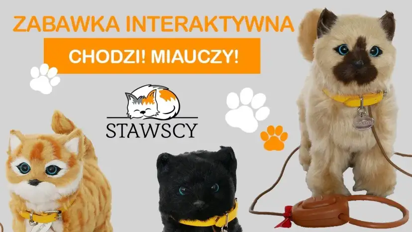 Gdzie kotek ma? Odkryj radość i zabawę w tej interaktywnej książce