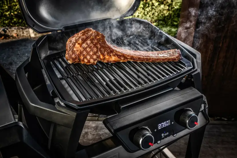 Euro Grill Pruszcz - sprawdź menu, opinie i godziny otwarcia