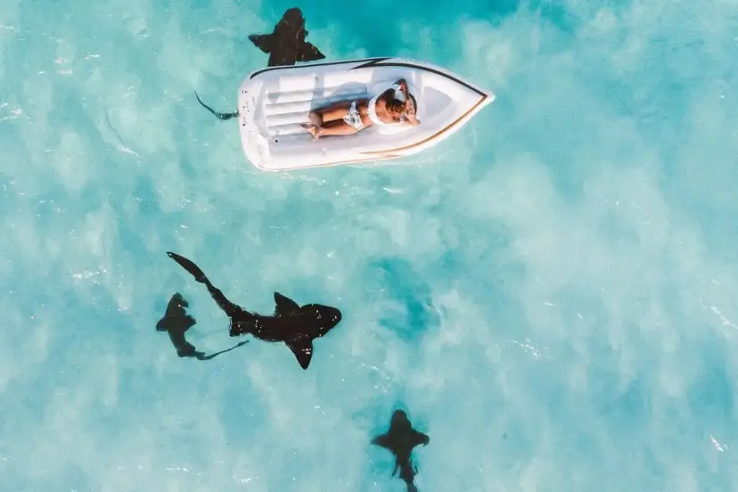Kobieta na dmuchanej łodzi w turkusowej wodzie, a pod nią pływają rekiny. Czy na Zanzibarze są rekiny? Tak, i to całkiem blisko!