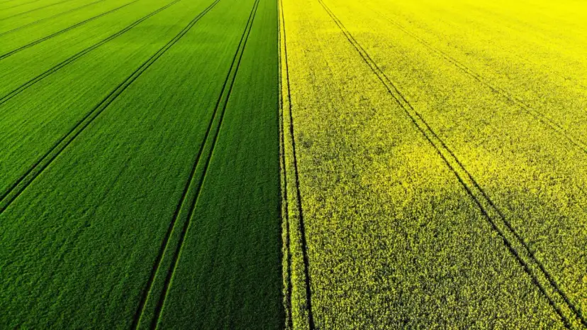 Kiedy składać wnioski o dopłaty do nawozów, aby nie przegapić terminów