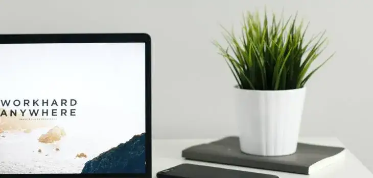 Staż z PUP: Jak dostać, ile zarobisz i czy dostaniesz pracę?